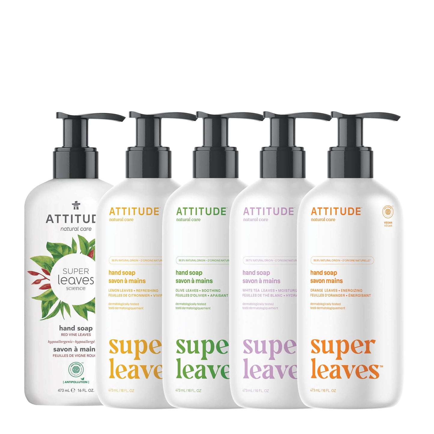 Hand Soap Kit